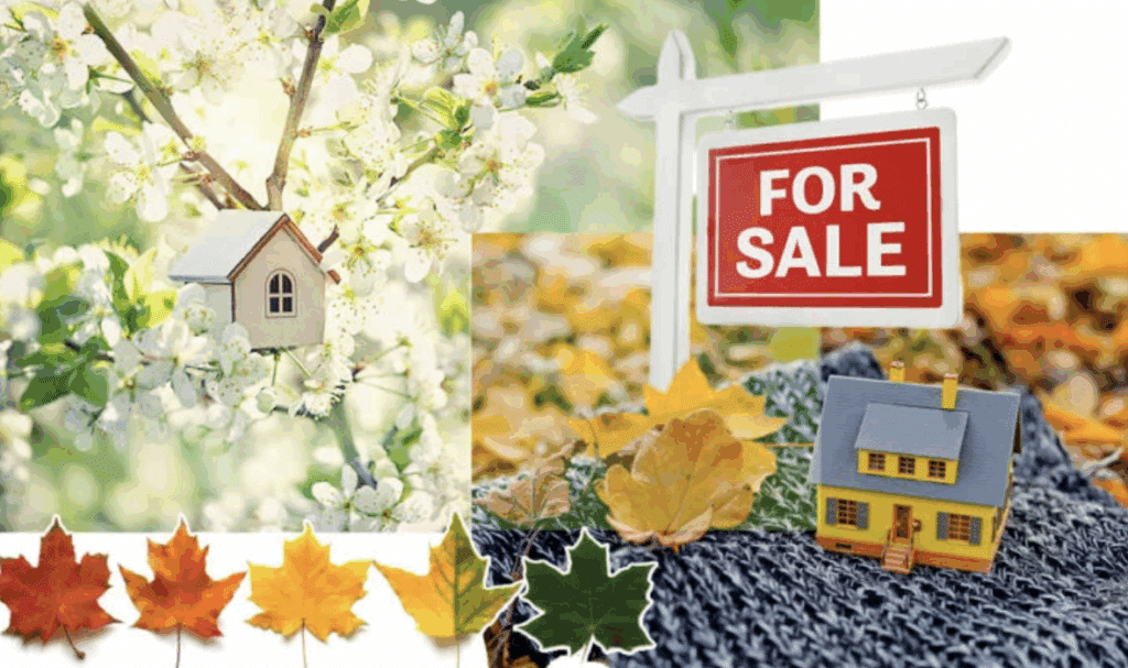 kate-ziegler-romano-springing-into-the-fall-housing-market-boston-globe